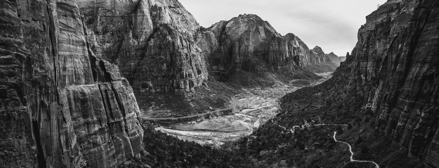 Photo - USA - Zion NP #7